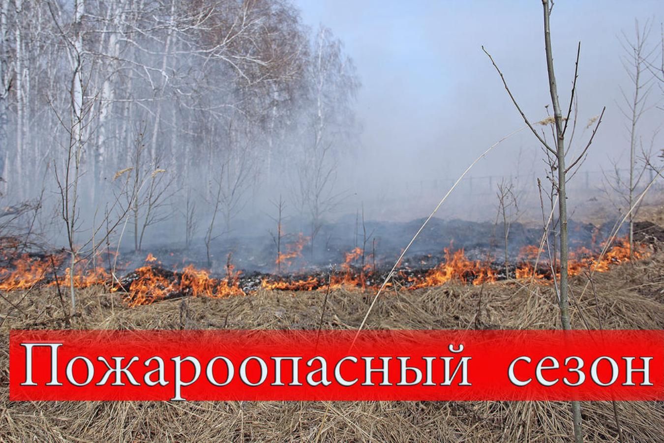 На территории Томской области установлен особый противопожарный режим